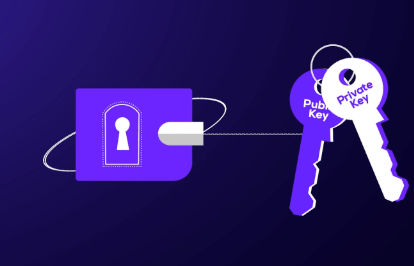 The Importance of Private Keys in Crypto